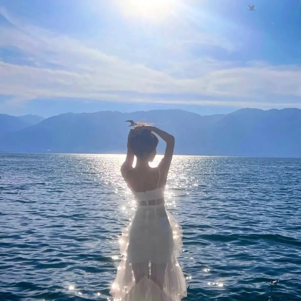 中国人的流浪记